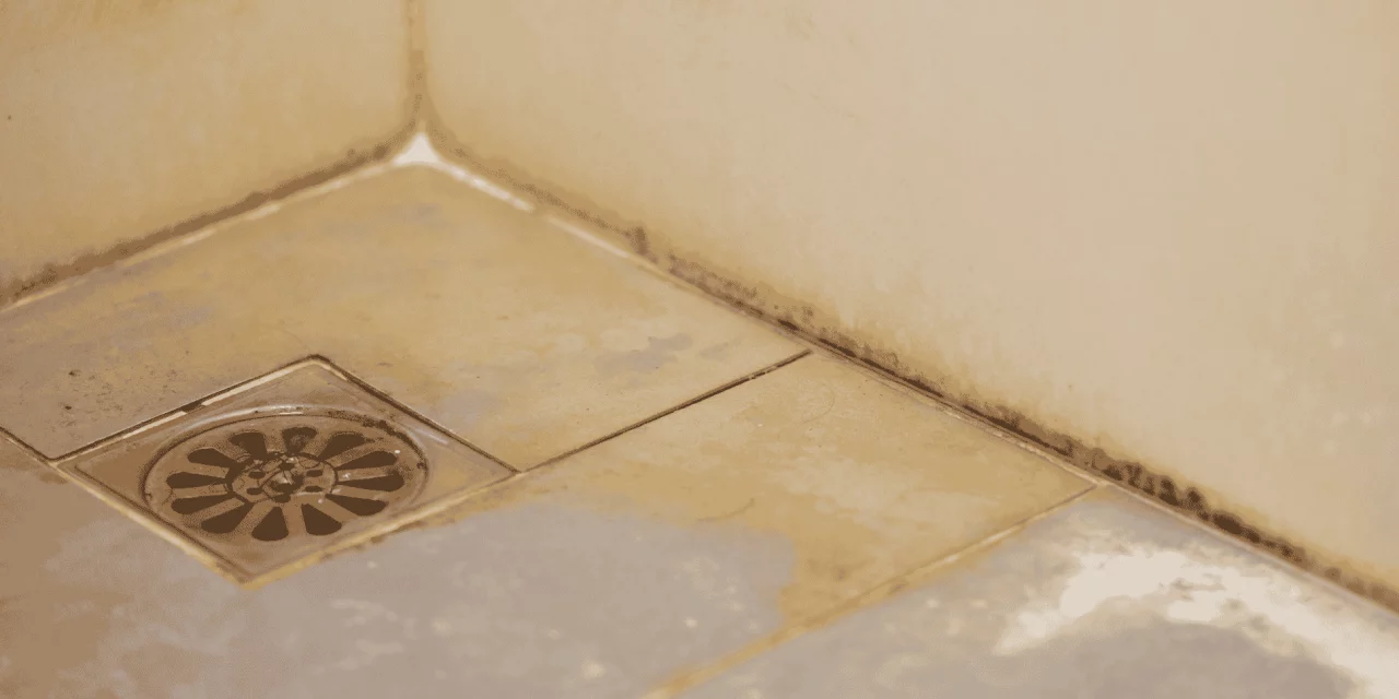 Des problèmes d’odeur dans votre salle de bain ? Découvrez les causes et les solutions efficaces à ce problème