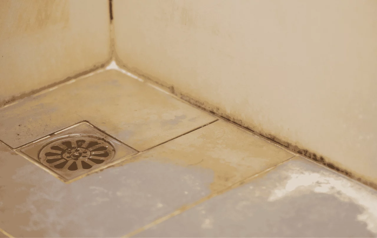 Douche avec problèmes d’odeur de salle de bain.